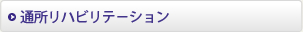 �ʏ����n�r���e�|�V����