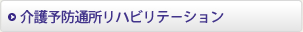 ���\�h�ʏ����n�r���e�|�V����