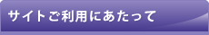 �T�C�g�����p�ɂ�������