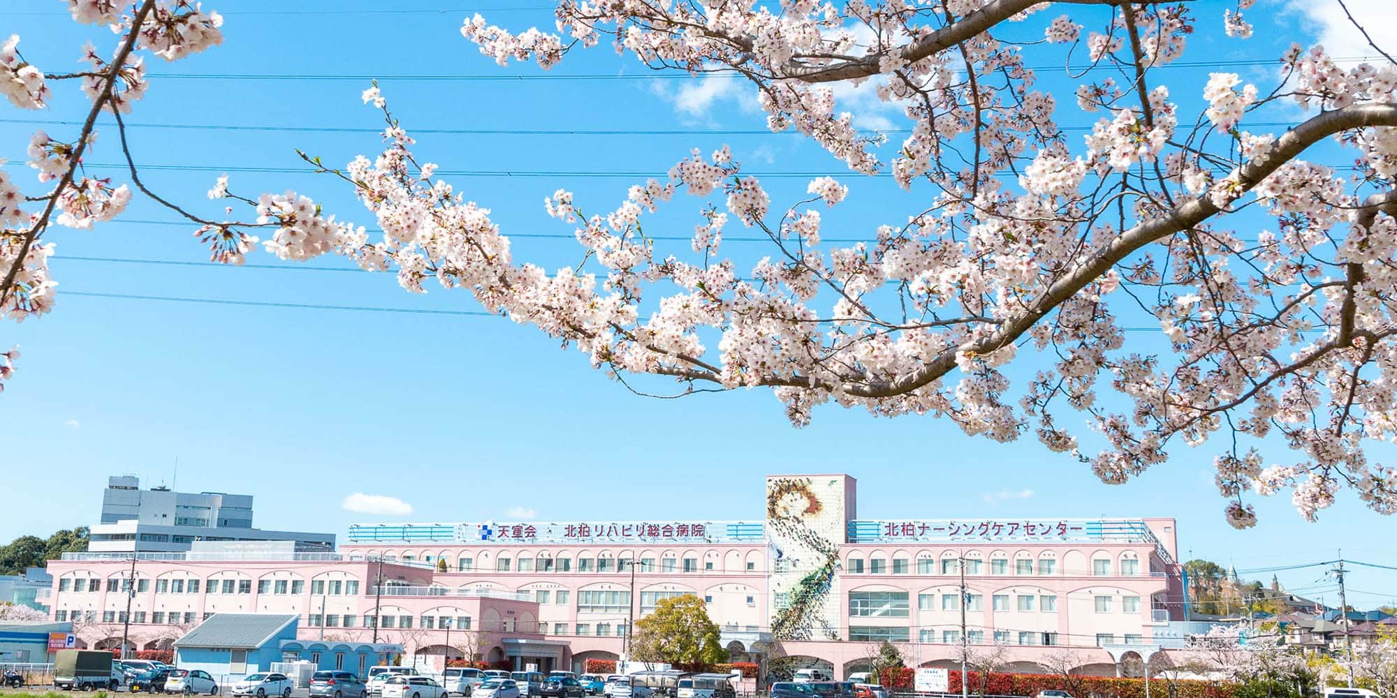 北柏リハビリ総合病院・北柏ナーシングケアセンター 外観